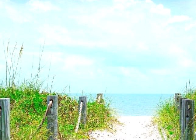 Turtle Beach wedding on Florida's Gulf Coast